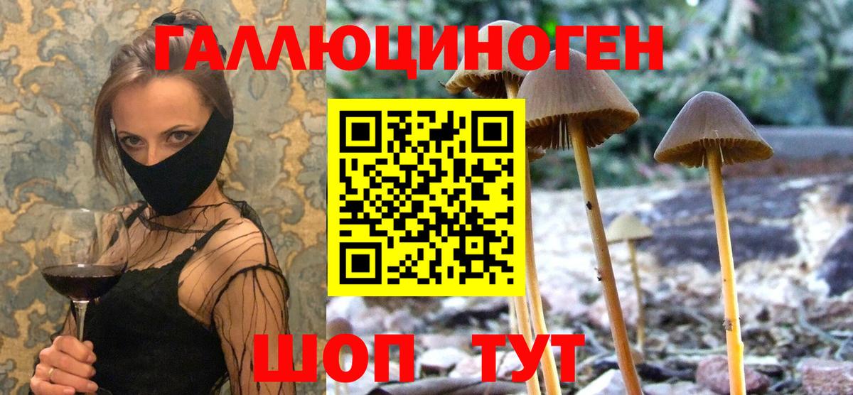 Галлюциногенные грибы GOLDEN TEACHER Звенигород