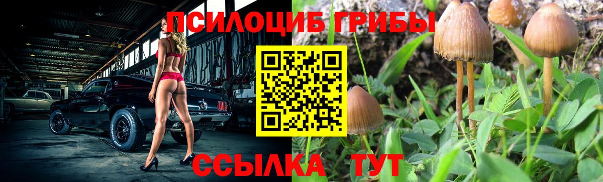 Звенигород  Псилоцибиновые грибы MAGIC MUSHROOMS  Псилоцибиновые грибы ЛСД  Вход с VPN 